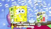 season 9 gary's new toy GIF by SpongeBob SquarePants