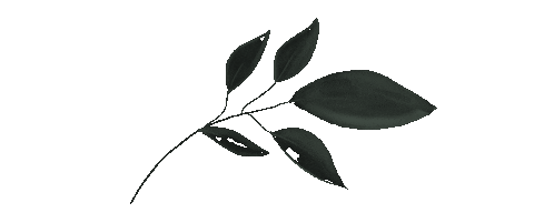Flower Plant Sticker