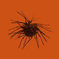 xponentialdesign halloween loop orange creepy GIF