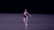 lincoln center dance GIF by New York City Ballet