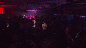 Tv Show Reaction GIF by LogoTV