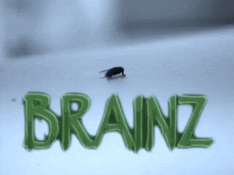 Brainz GIF by AyoPaco