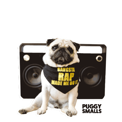 thepuggysmalls giphyupload music dog pug Sticker