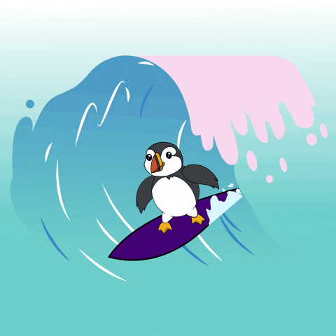puffinsdotfun giphyupload fun summer kawaii GIF
