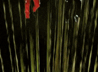 No Strings Attached GIF by *NSYNC
