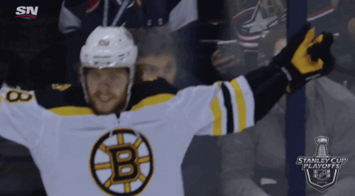 happy ice hockey GIF by NHL