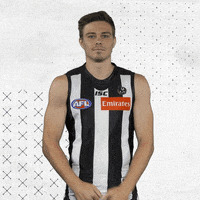 GIF by CollingwoodFC