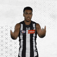 GIF by CollingwoodFC
