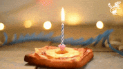 Konradulations food birthday happy birthday cake GIF