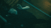 drunk water GIF by George Ezra