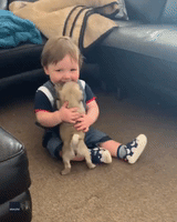 Baby Vince Enjoys Playtime With His Pug Pals