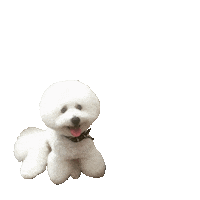 pukushi love happy fun dog Sticker