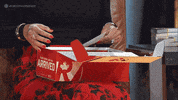 Dragons Den Television GIF by CBC