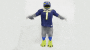Utc Gomocs GIF by The University of Tennessee at Chattanooga