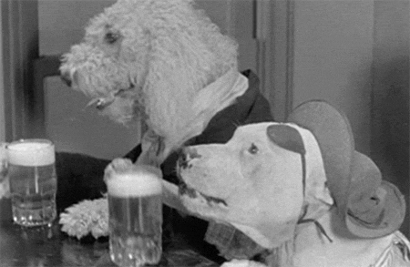 Beer Dogs GIF