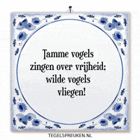 Humor Nl GIF by Tegelspreuken.nl