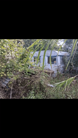 Simongip giphyupload GIF