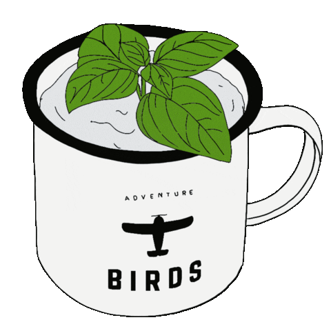 Coffee Drink Sticker by Craft Circus - Flaschenpost Gin & BIRDS Dry Gin