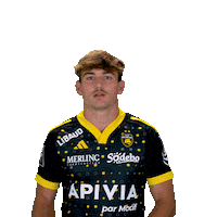 Sport Celebration Sticker by Stade Rochelais