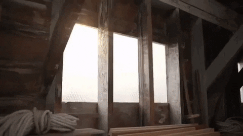 jonaskgomo giphygifmaker GIF