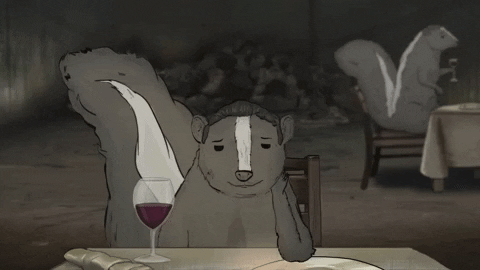 season 1 cats GIF by Animals