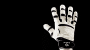 BionicGloves  GIF