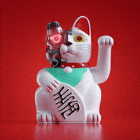 China Cat GIF by FOREAL