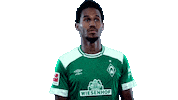 swipe up come on Sticker by SV Werder Bremen