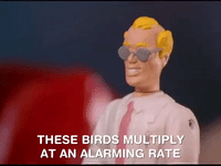 action league now nicksplat GIF