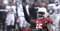 2018 Nfl Football GIF by NFL