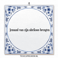Humor Wijsheid GIF by Tegelspreuken.nl