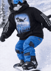 Snowboard GIF