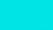 Magic Horse GIF by Blame Your Brother