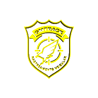 Protecao Veicular Sticker by GMTRACKK