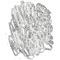 Highlands College Motion Sticker by Church of the Highlands