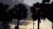 viceland GIF by DOPESICK NATION