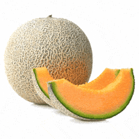 froggolock fruit beige cantaloupe froglock GIF