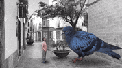 Musica Catalana Bird GIF by Guillem Gisbert
