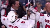 celebrate stanley cup GIF