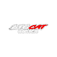 Wels Sticker by BigCatHunter.de