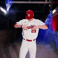 Home Run Celebration GIF by Gamecock Athletics