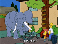 homer simpson GIF