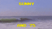 avaylen art skate surf street GIF