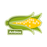 Soja Lavoura Sticker by Natter Agro