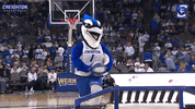 billy bluejay GIF by Creighton University Athletics