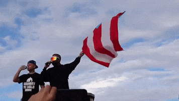 puerto rico bad bunny protests residente rickyrenuncia GIF