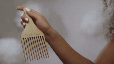 curlsnckouds giphyupload GIF