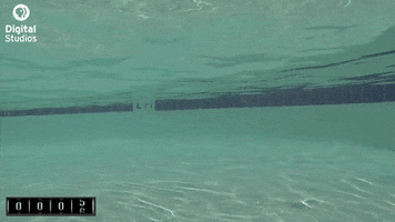 shark week sharks GIF