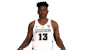 March Madness Basketball Sticker by Providence Friars