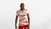 Dirt Off Your Shoulder Football GIF by RB Leipzig